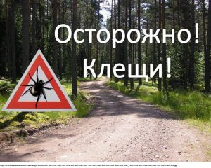 Осторожно_клещи